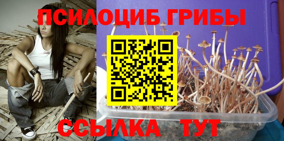 Псилоцибиновые грибы GOLDEN TEACHER  закладки  Каменск-Шахтинский  Вход с VPN 
